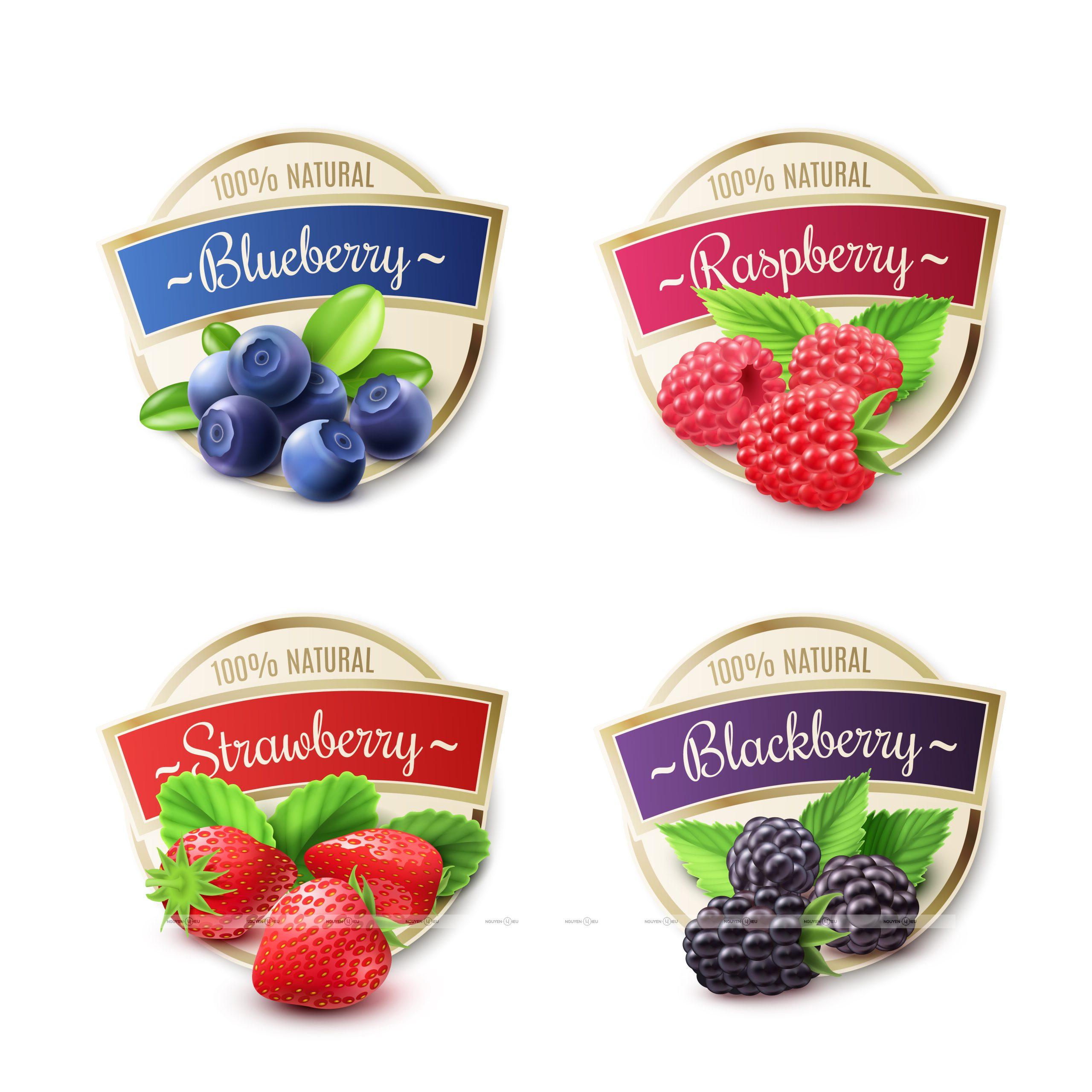 Berry Labels Set LB5 1 scaled