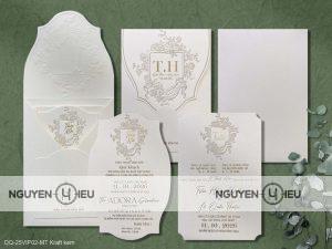 DQ25VIP02